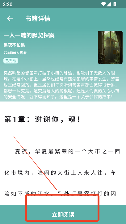 锐马小说