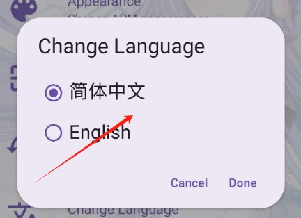 电梓播放器