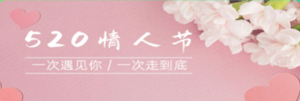520束玫瑰花图