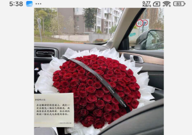 520束玫瑰花图