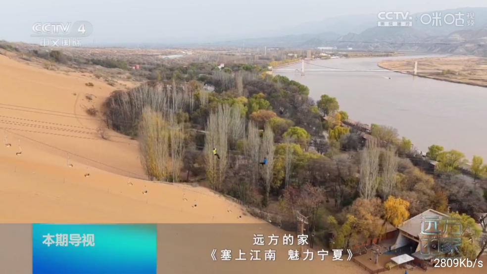 梦梦TV电视直播