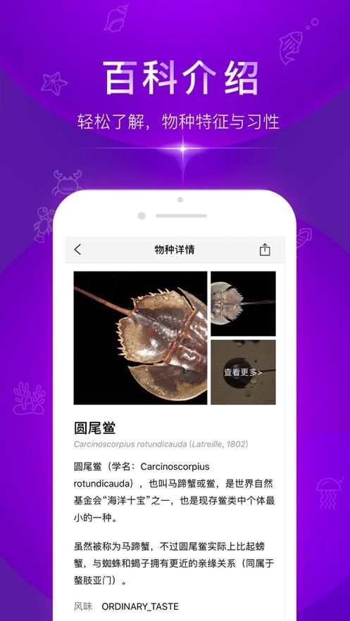 问鱼APP版手机平台
