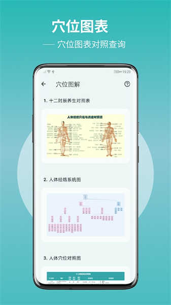 人体穴位图解