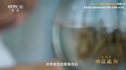 V3TV最新版APP下载