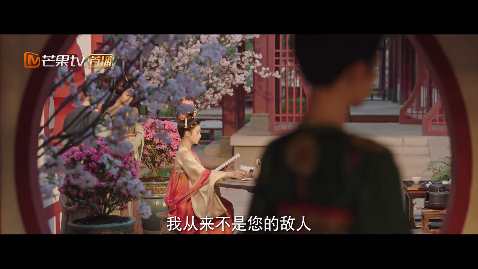 大头影视4K影视TV端