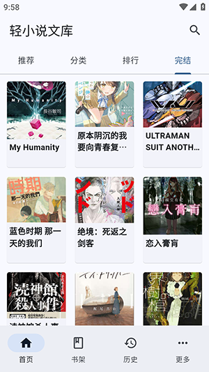Wild轻小说
