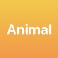 Animal_Plus APP客户端