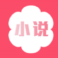 流星雨小说APP版