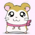 安玛拉漫社APP最新版