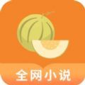 甜瓜小说阅读器APP版