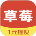 草莓看点APP