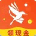 白鸽阅读APP版
