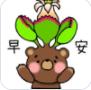 绒毛子叶