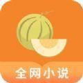 肉丸书吧看小说APP