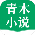 青木小说APP版