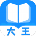 大王书城小说APP