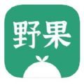 野果阅读APP安卓下载最新版