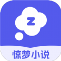 惊梦小说APP