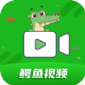 鳄鱼视频app最新版