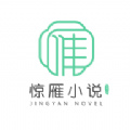 惊雁文娱小说APP版