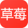 草莓免费短剧APP下载-草莓免费短剧软件安装v1.0.0.0