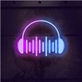 睿星音乐APP下载-睿星音乐软件版vbeta5.2
