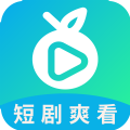 滨果大全软件版
