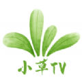 小草TV下载app