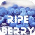 RipeBerry影视APP下载