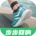 步步回响软件版