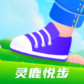 灵鹿悦步软件版
