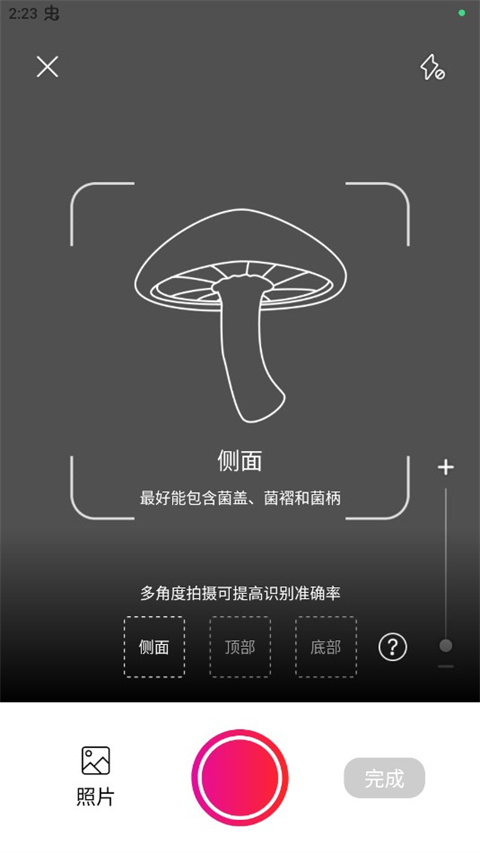 蘑菇识别扫一扫
