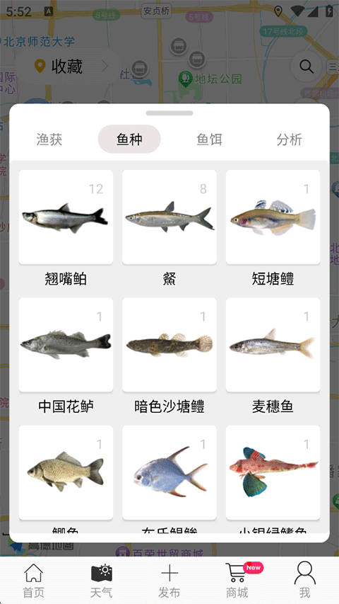 渔获
