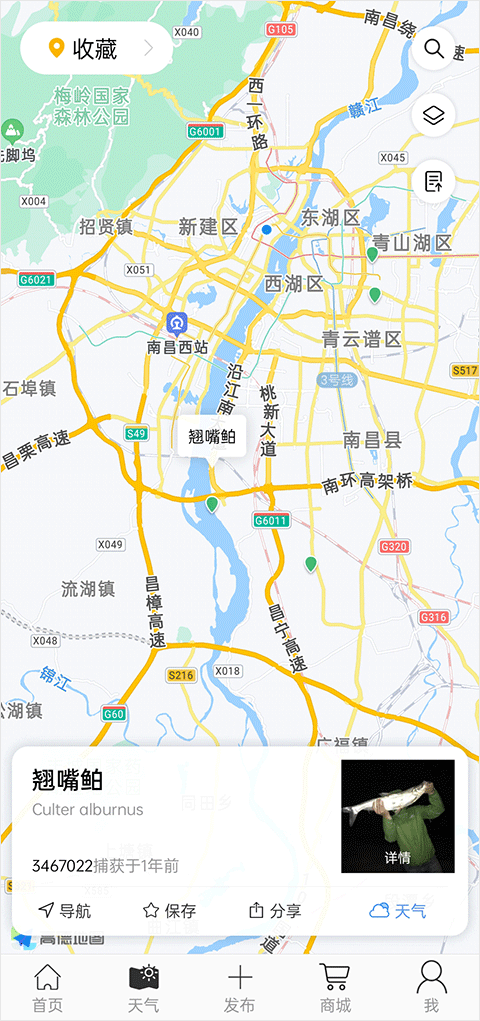 渔获天气预报