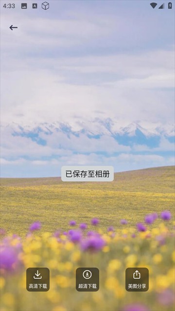 免费主题多多app