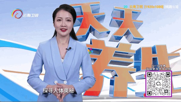 小狐狸星辰仓图片4