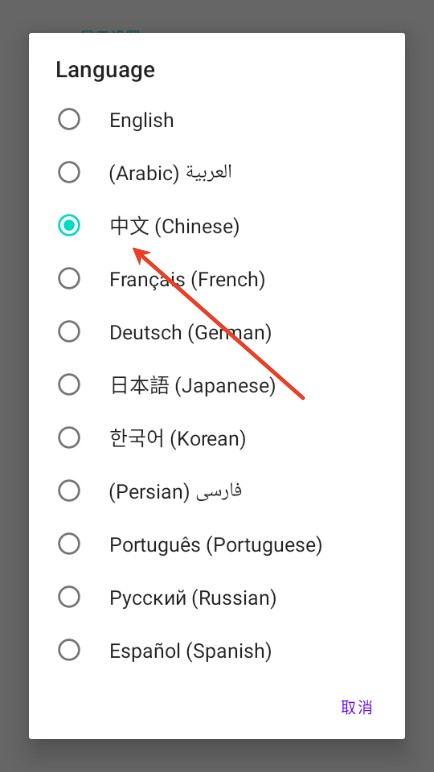 设置中文3