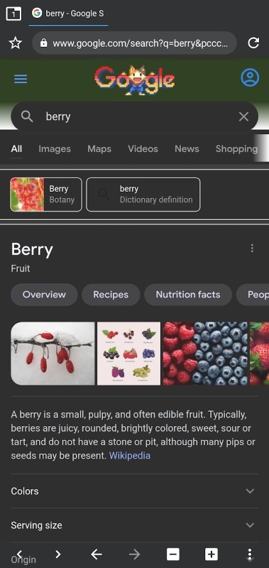 Berry浏览器
