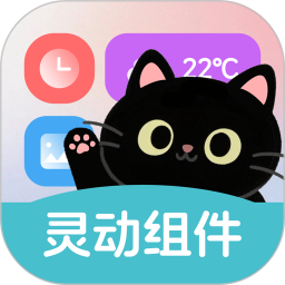 灵动皮肤小组件app下载-灵动皮肤小组件最新版下载v1.0.0安卓版