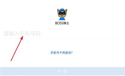 BOSS骑士