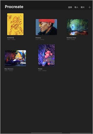 Procreate绘画软件