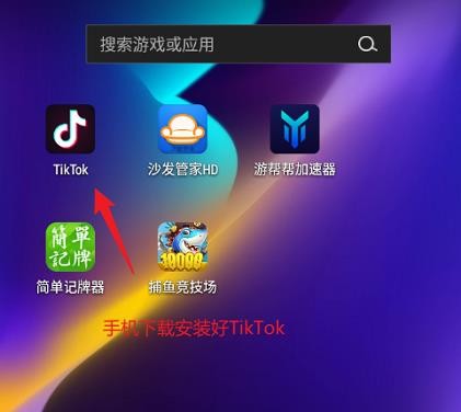 TikTok海外版