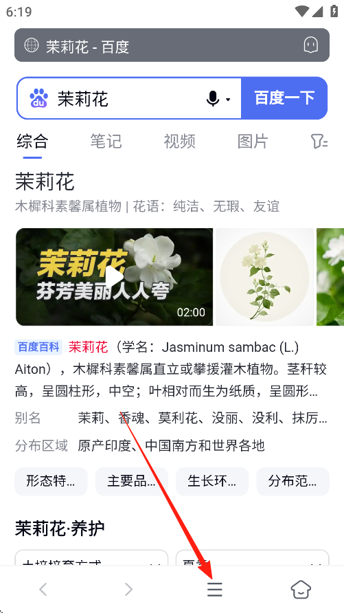 蓝奏浏览器