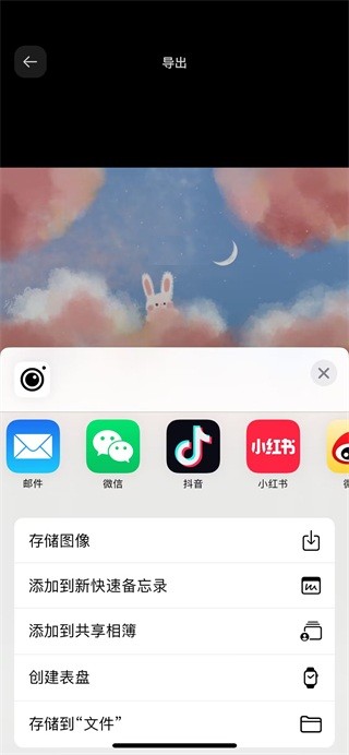InstaSize软件