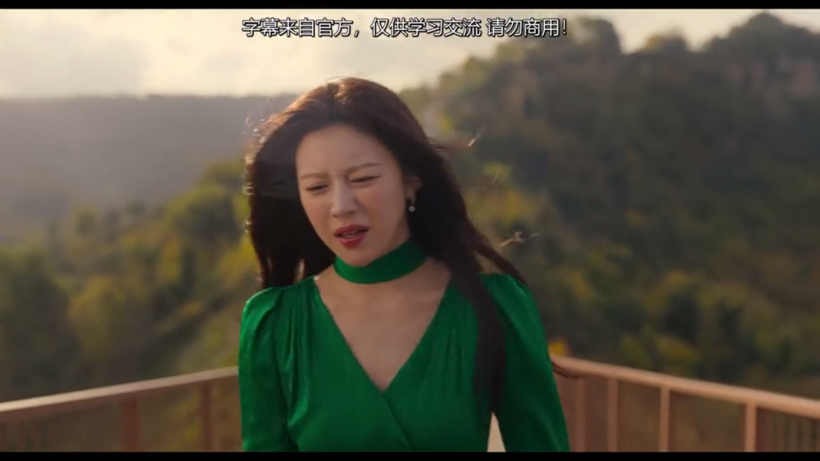 蜜蜂TV