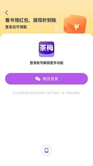 茶梅小说