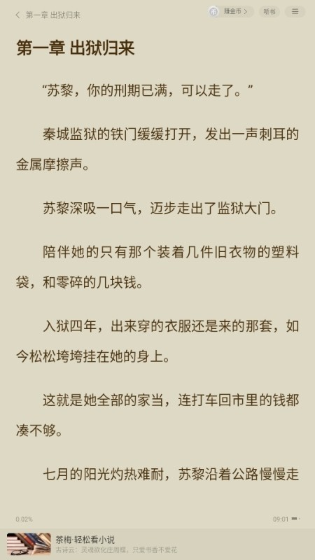 茶梅小说