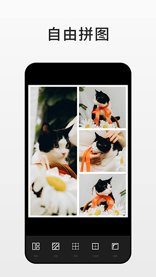 Fotor图片编辑器中文