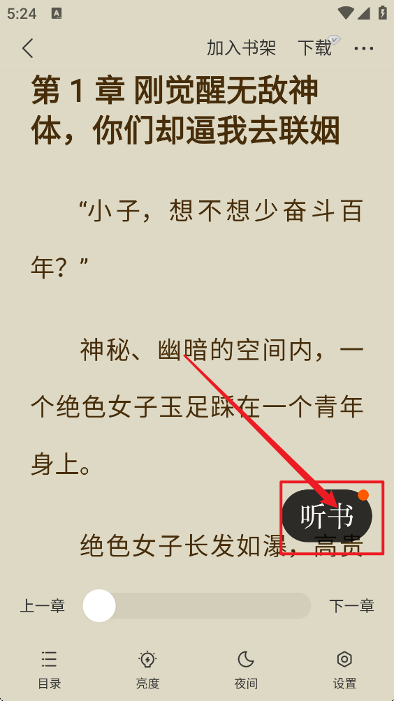 茶梅