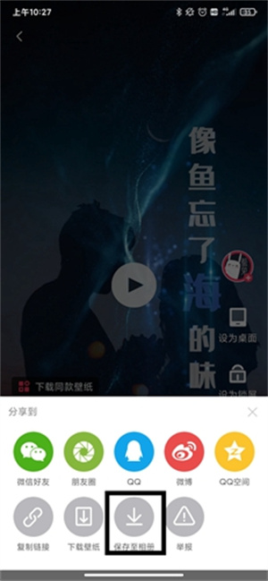 羞兔动态壁纸手机版